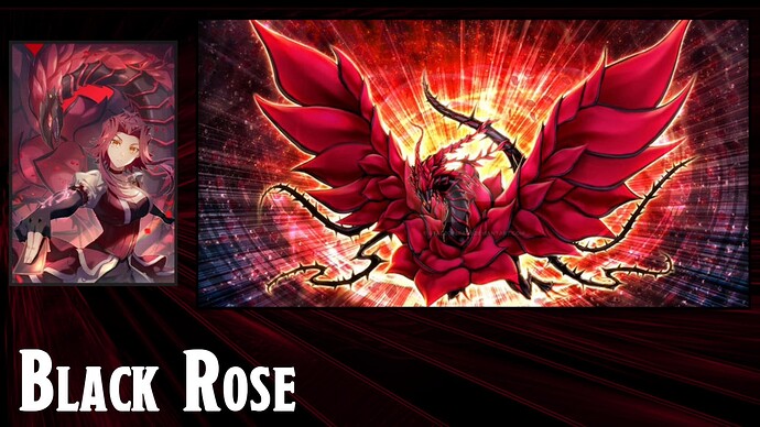 Black Rose