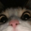 yewny